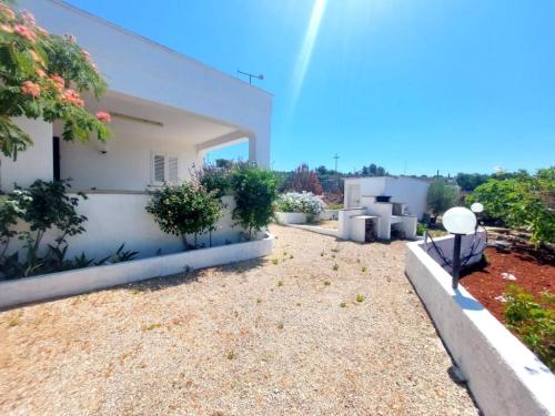 2625473_img20240702wa0064001