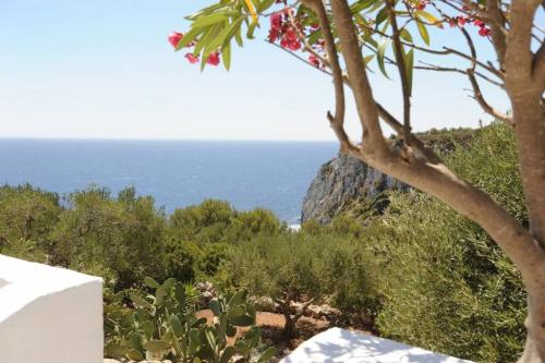 5146_img20220718wa0138