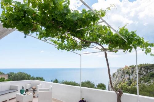 5146_img20220718wa0142