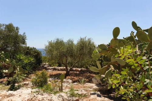 5146_img20220718wa0151