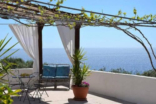 5146_img20220718wa0155