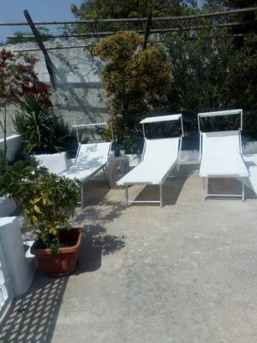 5146_img20220718wa0159