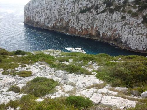 5146_img20220718wa0162