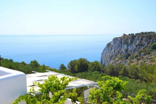 5146_img20220718wa0166