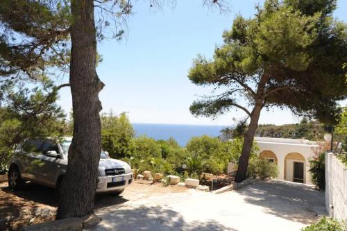 5146_img20220718wa0168