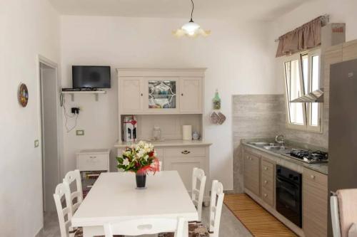 5146_img20220718wa0169