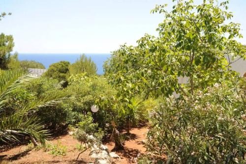 5146_img20220718wa0171