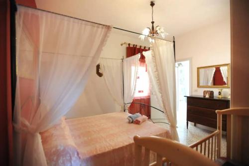 5146_img20220718wa0173