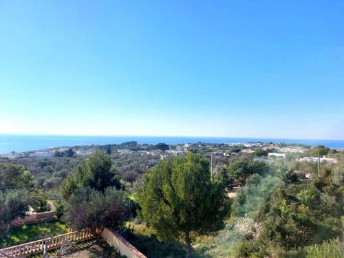 5210_img20230119wa0171001