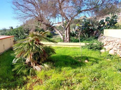 5210_img20230119wa0175001