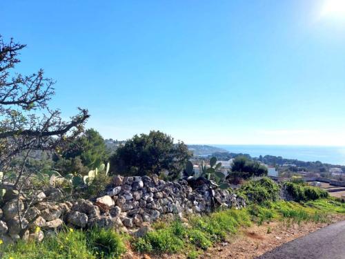 5210_img20230119wa0177001