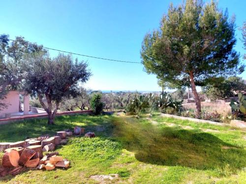 5210_img20230119wa0178001