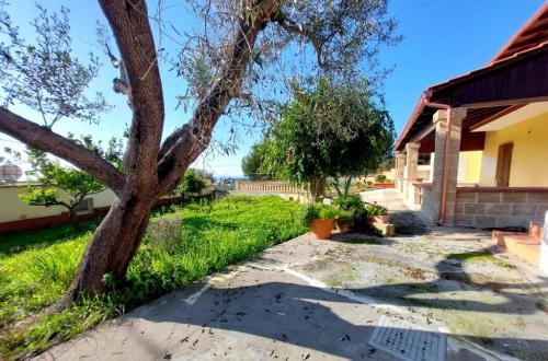 5210_img20230119wa0181001