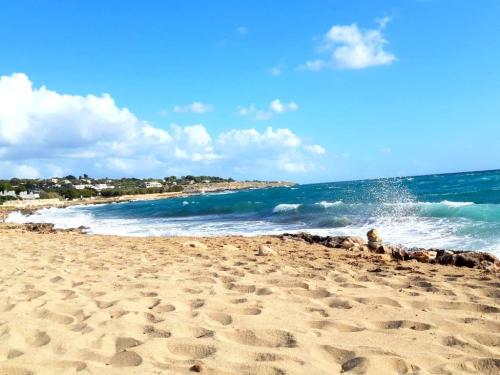 5210_img20230125wa0028001