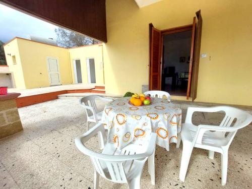 5210_img20230308wa0255001