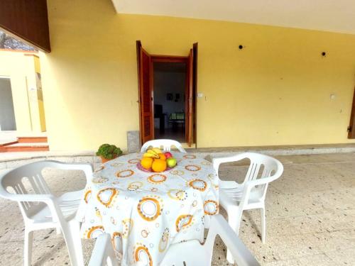 5210_img20230308wa0256001