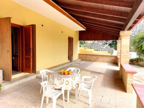 5210_img20230308wa0261001