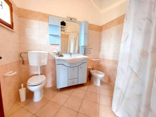 5210_img20230308wa0274001