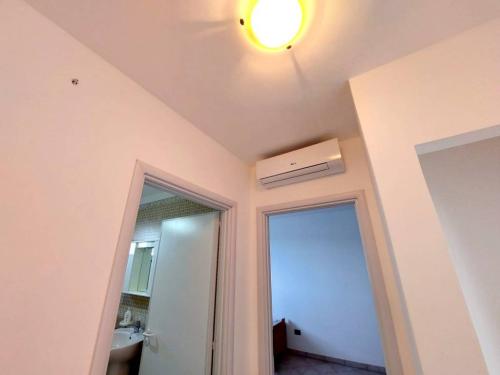 5213_img20221220wa0261001