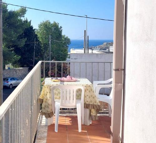 5213_img20231009wa0084001