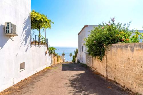 5213_img20231114wa0090001