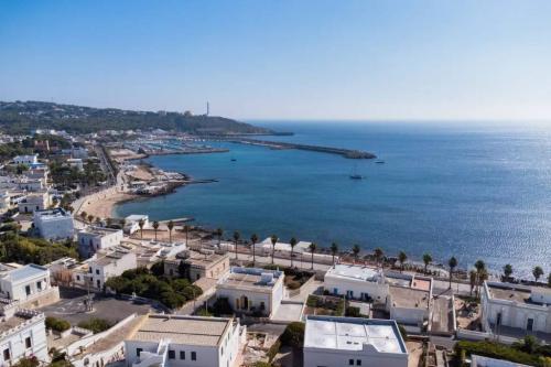 5213_img20231114wa0094