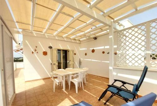 5223_img20240620wa0086001