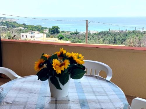 5247_img20230623wa0148001