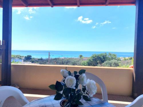 5247_img20230905wa0023001