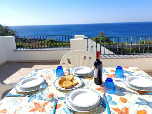 5250_img20231009wa0131001