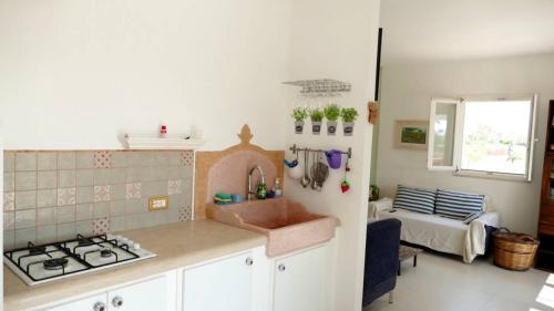 5382_img20231019wa0074001