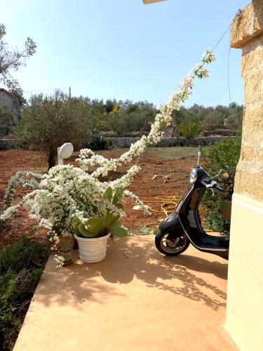 5382_img20231021wa0004001