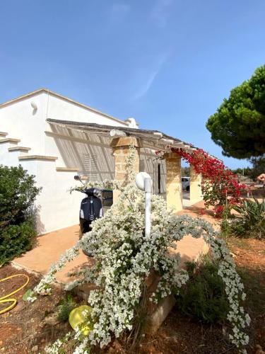 5382_img20231021wa0005001