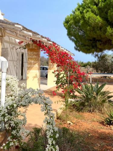 5382_img20231021wa0006001