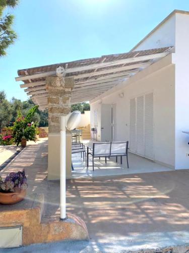 5382_img20231021wa0011001