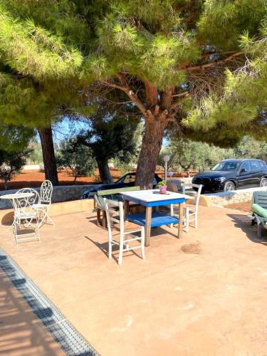 5382_img20231021wa0012001