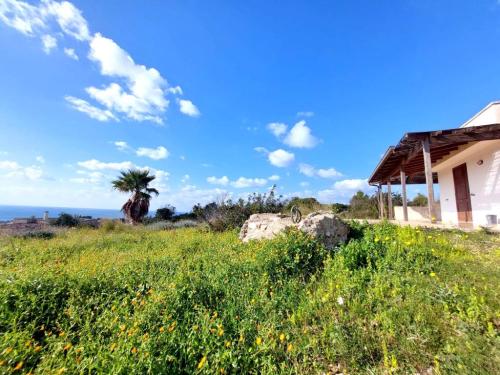 5427_img20240309wa0001001