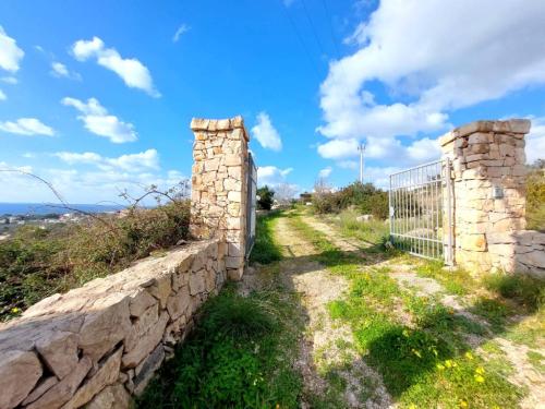 5427_img20240309wa0029001