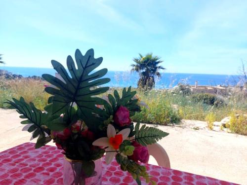 5427_img20240406wa0066001