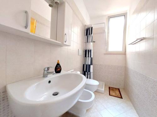 5427_img20240410wa0271001