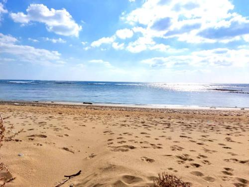 5473_5438img20230211wa0030001