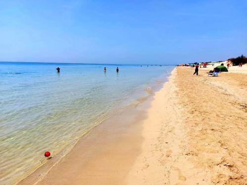 5473_fotoperattico04