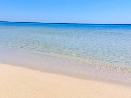 5473_img20230125wa0022001