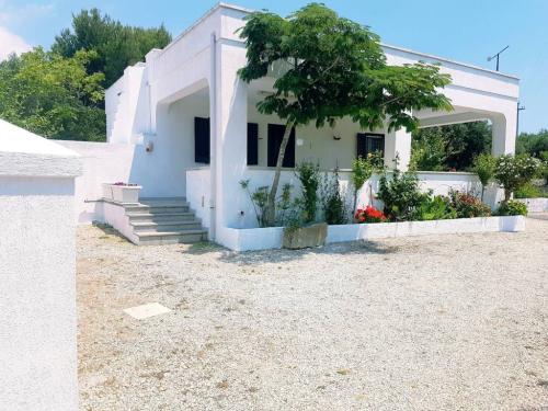 5473_img20240430wa0058001