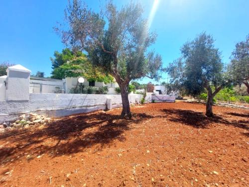 5473_img20240702wa0043001