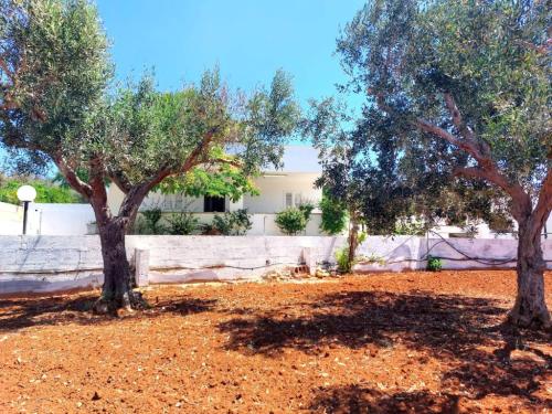 5473_img20240702wa0044001