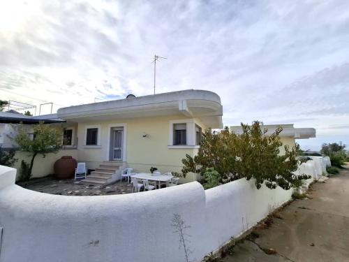 5615_img20251022wa0061001