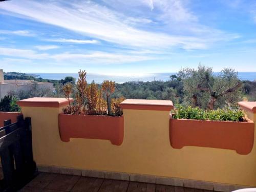 5616_img20241109wa0062001