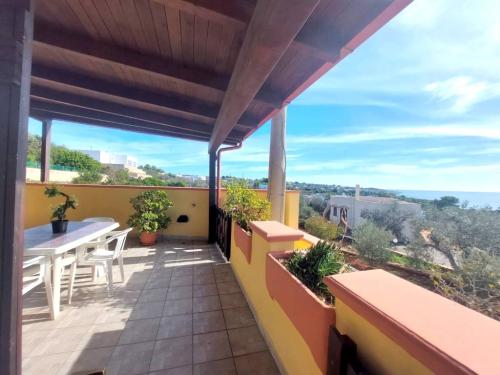 5616_img20241109wa0084001