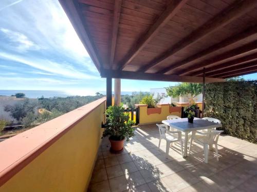 5616_img20241109wa0091001